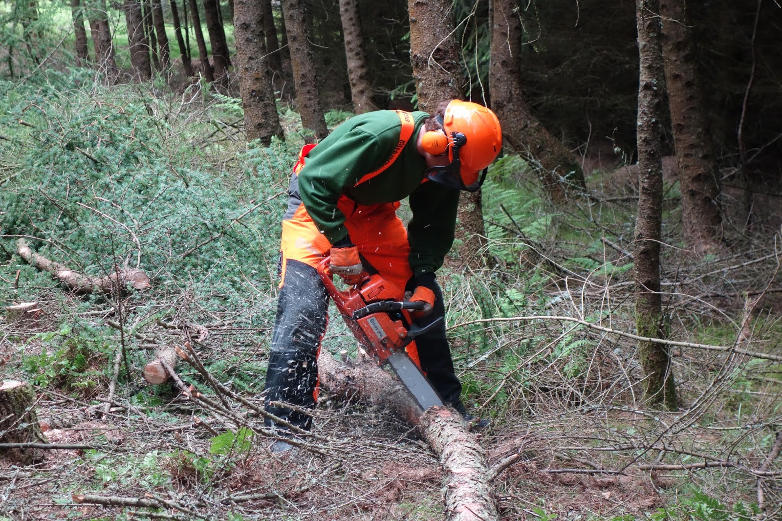 Montrose Golf Links CHAINSAW TRAINING COURSE