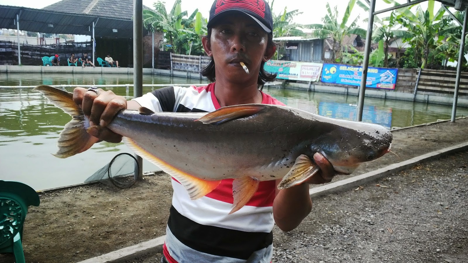 Mancing di Gofina Jaya Makmur | Port, Gambar, Teknik Memancing