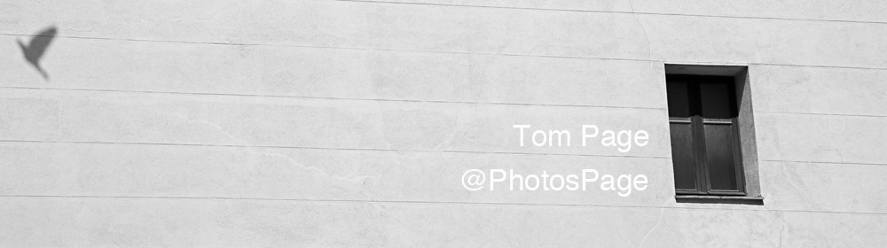 Tom Page  Photographer