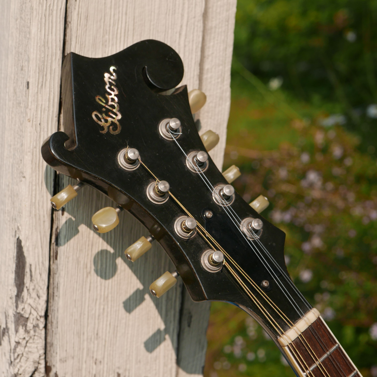 1964 Gibson A12 CarvedTop Mandolin