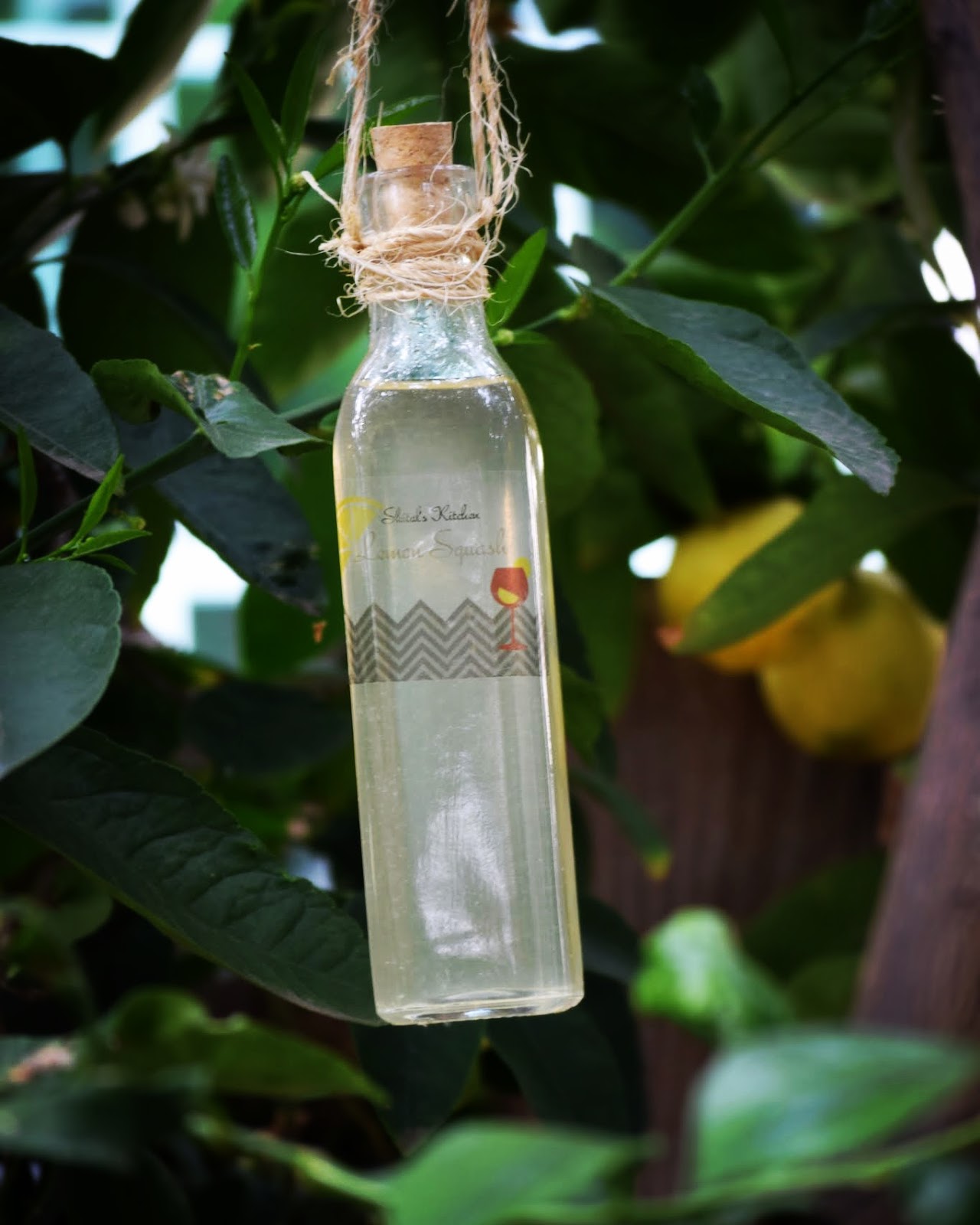 Shital'sKitchen Lemon Squash