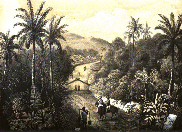 Jelajah Sejarah Manado: Kisah Lain Gempa 1845