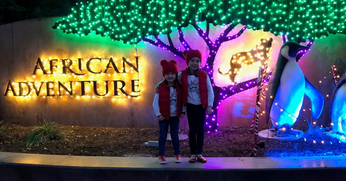 The Foreman Five Fresno Chaffee Zoo's Zoolights