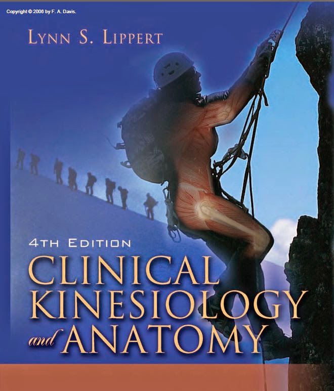 Clinical Kinesiology and Anatomy Lippert 4th Edition pdf