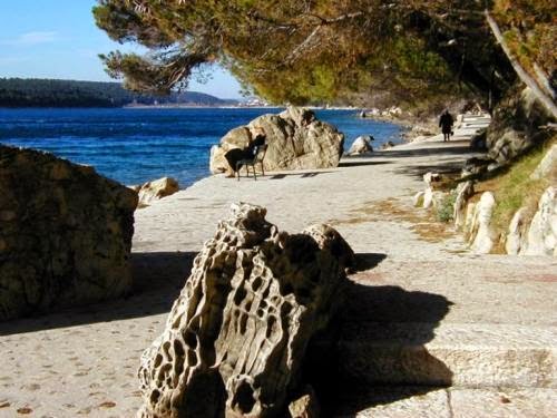 Tourist destinations in Croatia: Palit, island Rab