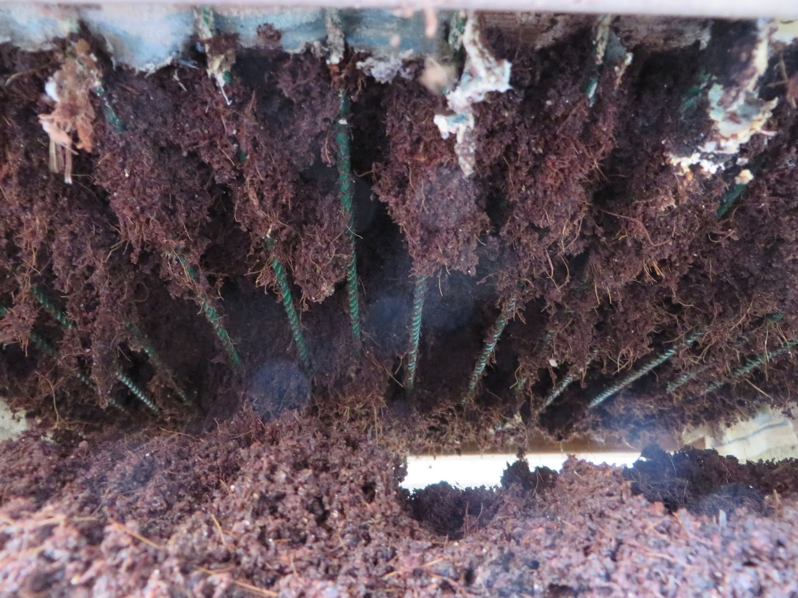 みみず御殿日記 冬のミミズコンポスト