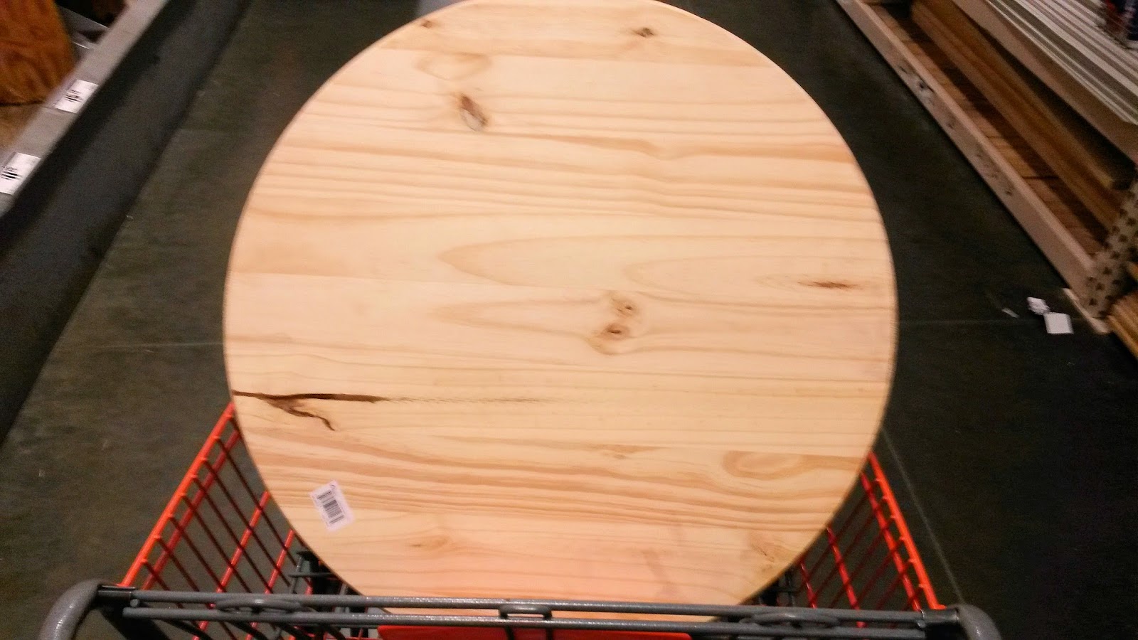 ZoePhee How to Make Wobble Board for Dogs!