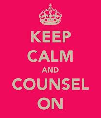 senior academic counselor