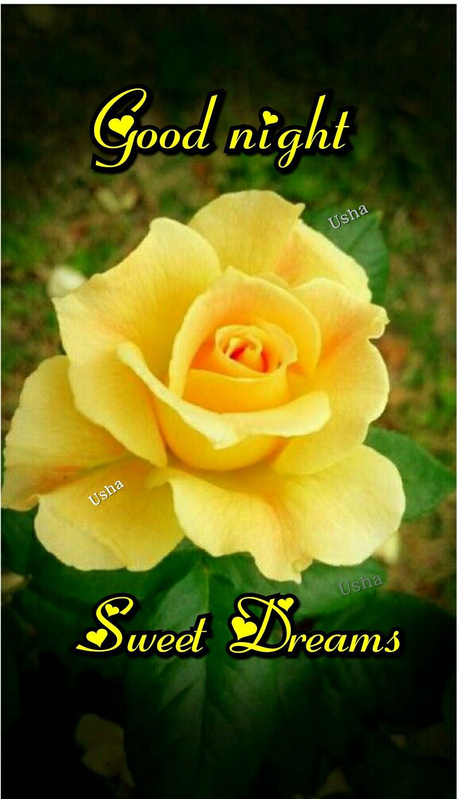 good night cute images