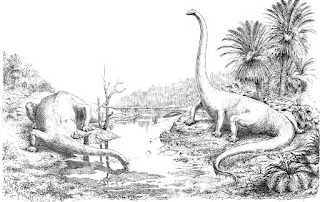 Adorable Of Sauropoda Coloring Page For Kids Adorable Of Sauropoda Coloring Page For Kids