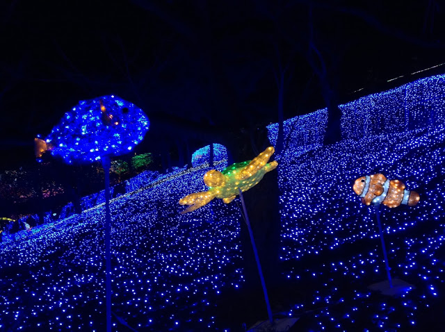 Sagami Lake Resort Pleasure Forest illumination