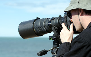 Gabriel Rojo - Fotógrafo de Orcas en Punta Norte