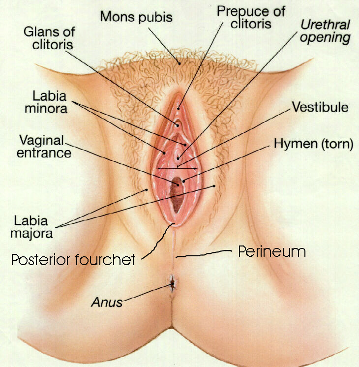 women should be concerned about their vaginal health this post will ...