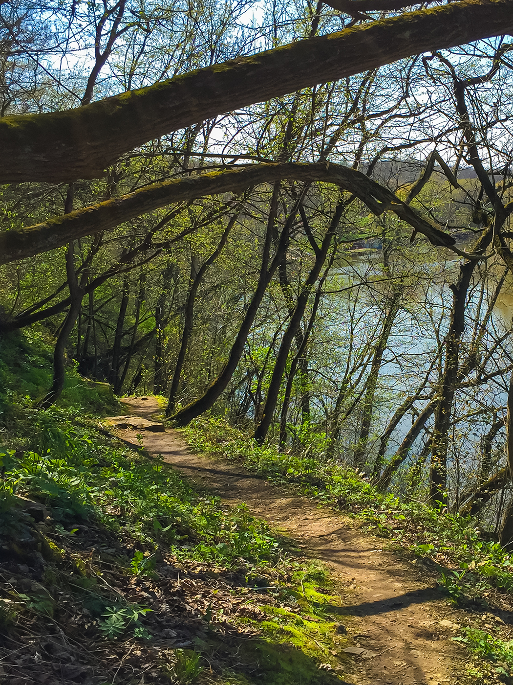 Views of the Rock River from the Devils Staircase Segment of the Ice Age Trail