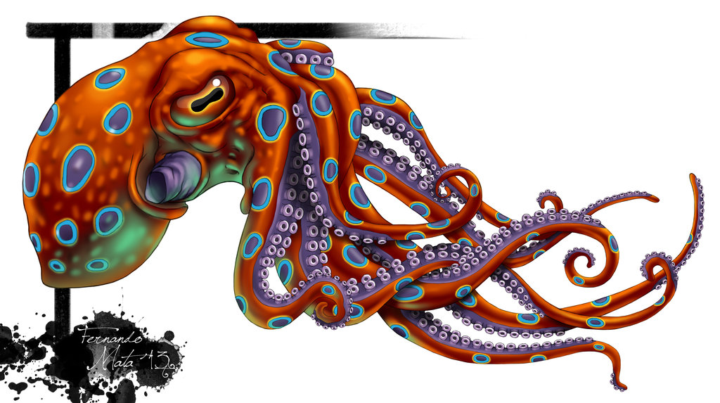 Octopus Leg Tattoo