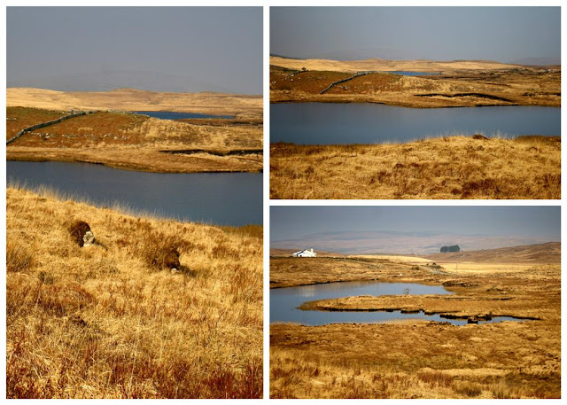  Connemara collage © Annie Japaud Photography, Connemara, Ireland, landscape