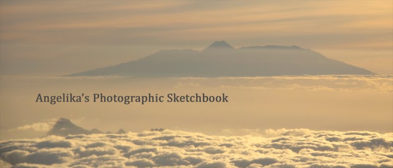 Angelika's Photographic Sketchbook