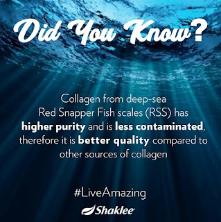 Kolagen Shaklee dari sumber ikan laut dalam (Red Snapper)