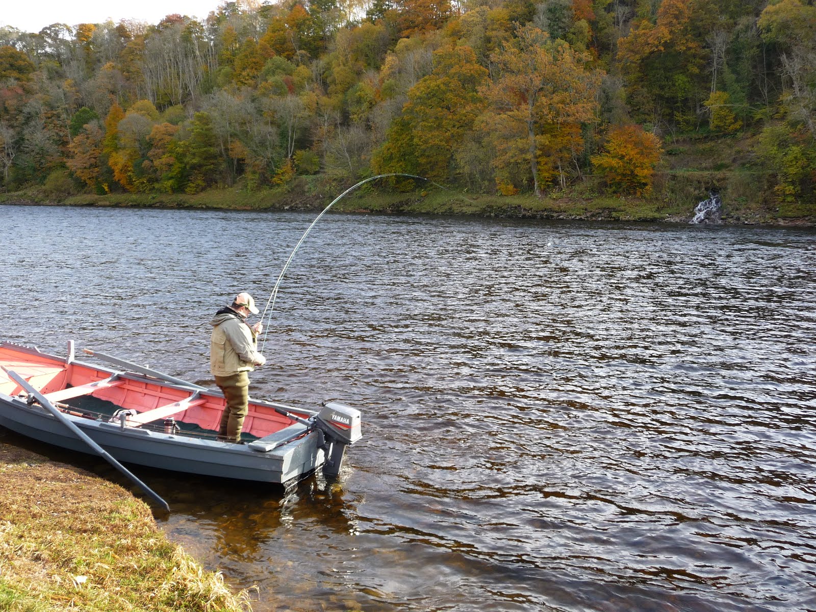 Salmon Fishing Scotland. Salmon Fishing Scotland Salmon Fly Fishing In