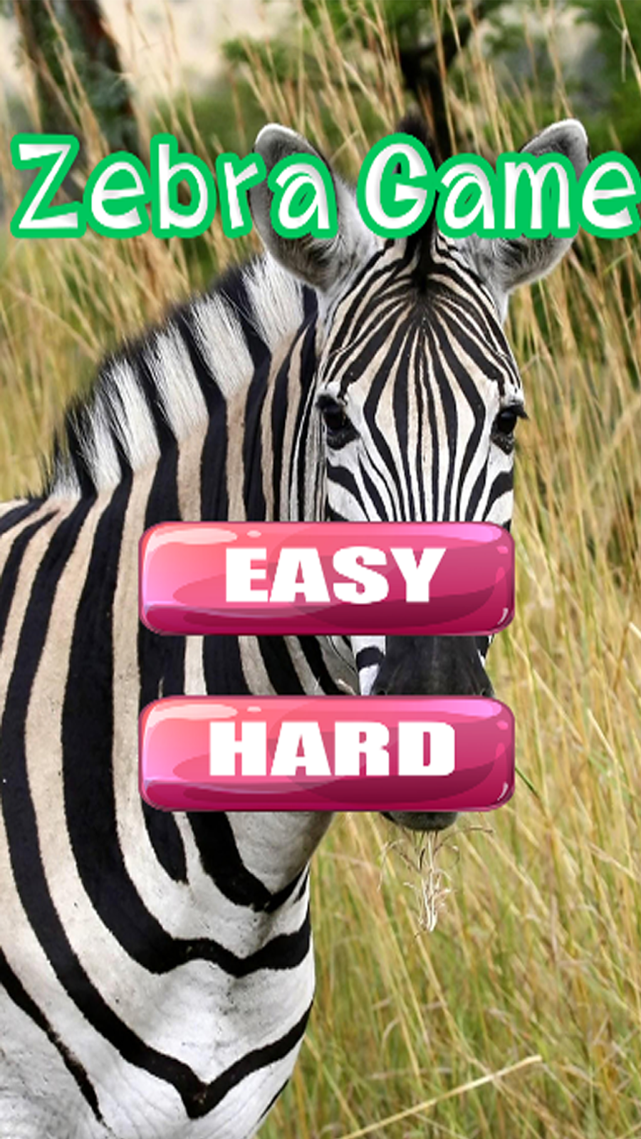 Puzzle Zebra Games And Jigsaw For Kids
