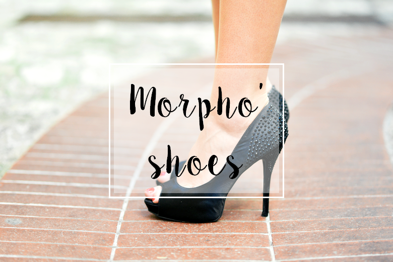 morphologie chaussure