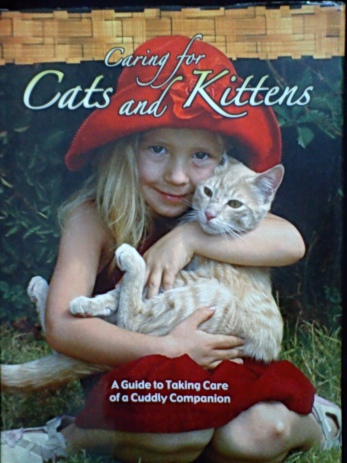 CHILDREN BOOKS FOR YOU Caring For Cats And Kittens