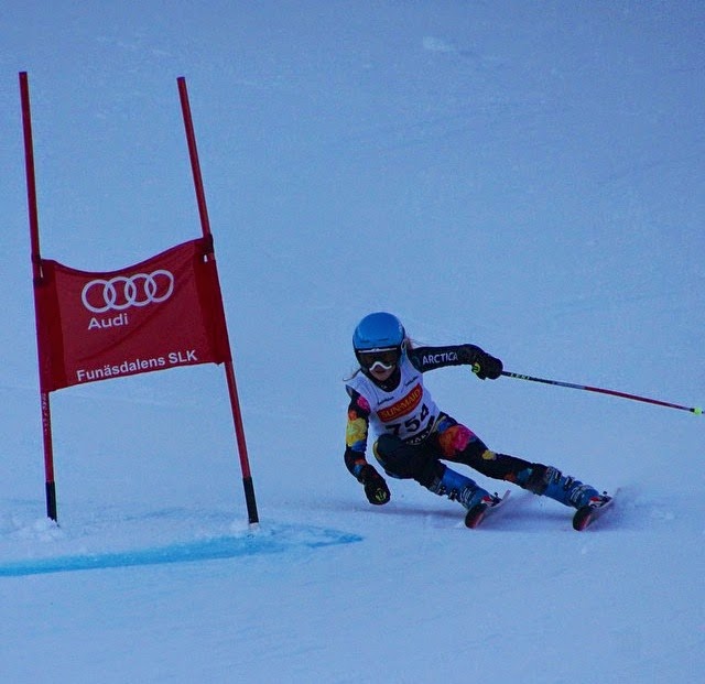 Hard lessons to be learned from ski racing.