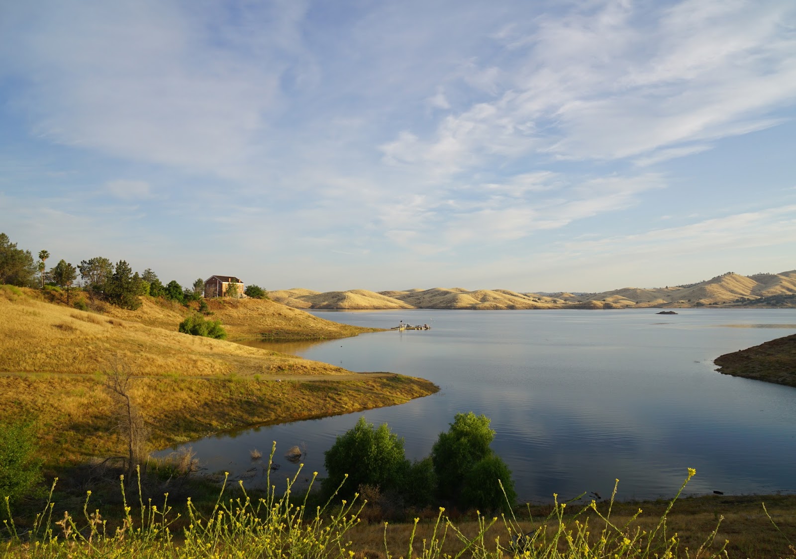 Mid Sierra Musings Swimming At Millerton Lake II 2017