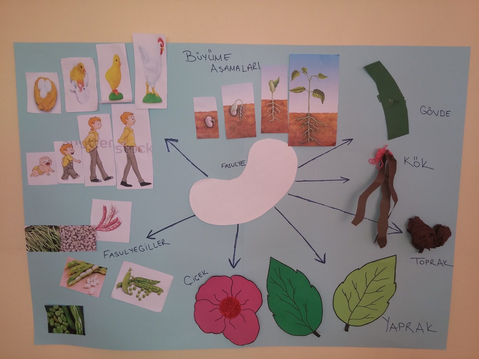 Nur ile Okul Öncesi (Color Teach.Er) 5E Modeliyle Okul Öncesi Fen
