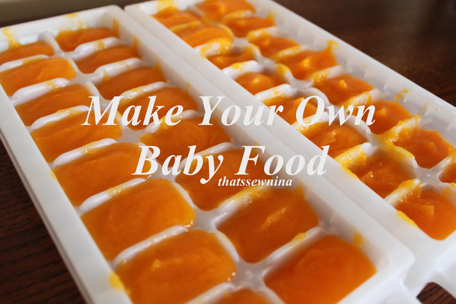 Thatssewnina DIY Baby Food thatssewnina-diy-baby-food