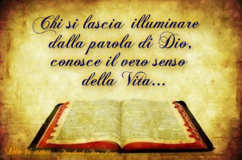 Frasi Belle Sulla Solidarieta