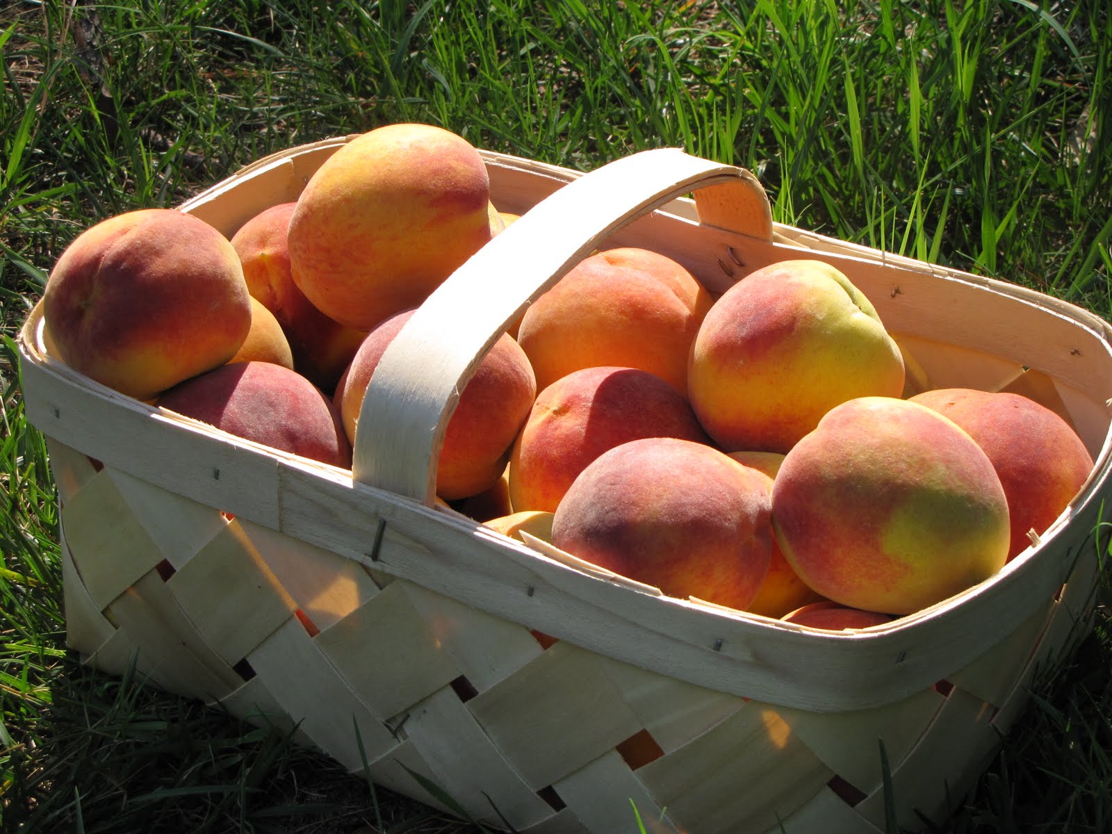 Southern Homemaking Peaches