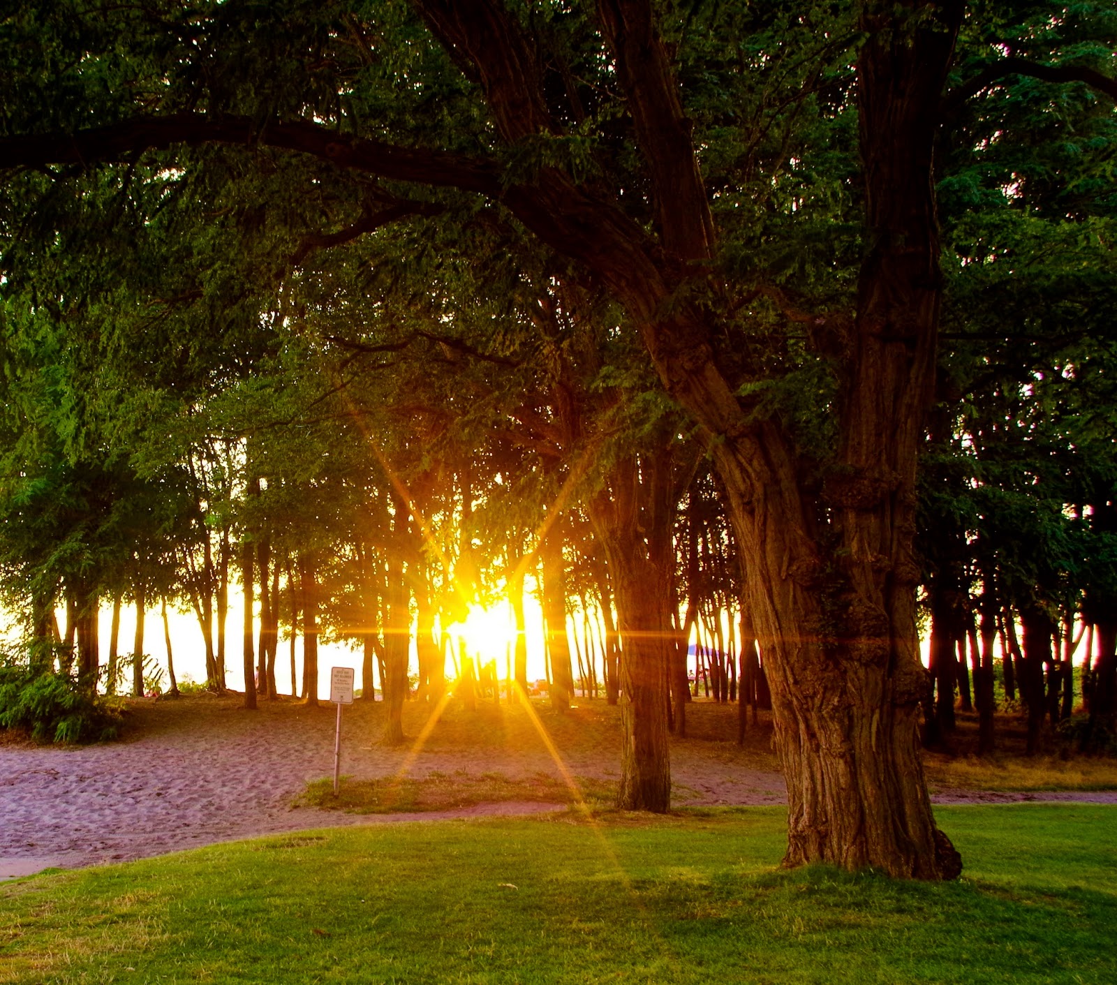 Pacific Northwest Seasons Seize the Day Late Summer in the Northwest