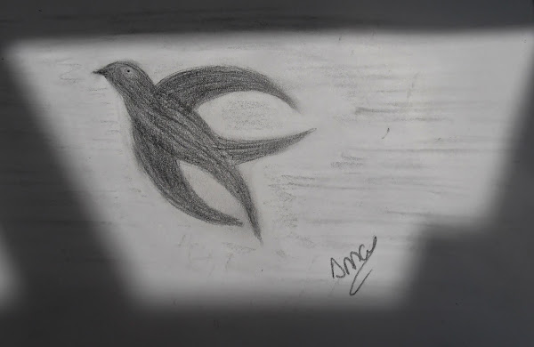 Domingo Creativo 13 : Garabato Libre