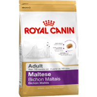  Royal Canin Bichon Maltais