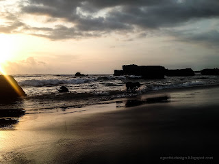 Dogs Playing On The Beach In The Sunset Moment At Batu Bolong Beach, Canggu Village, Badung, Bali, Indonesia