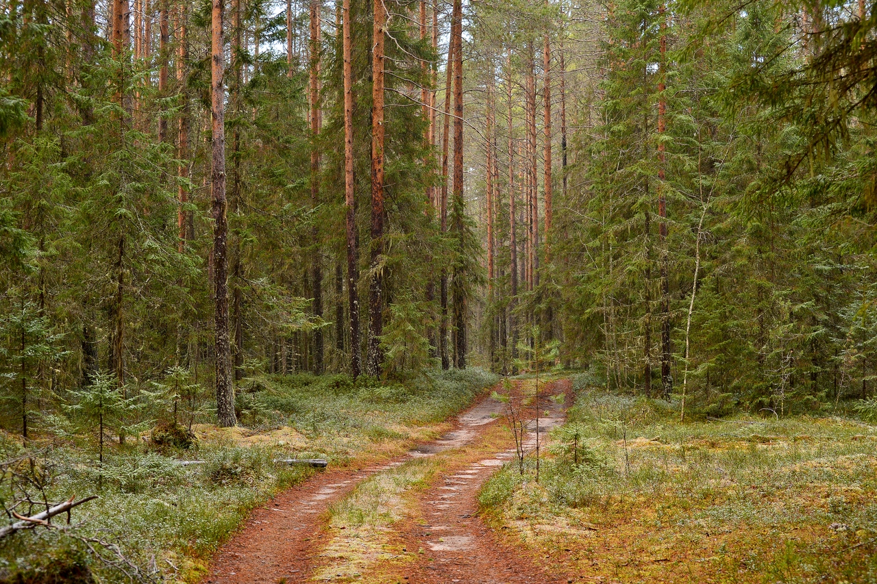 Республика Коми