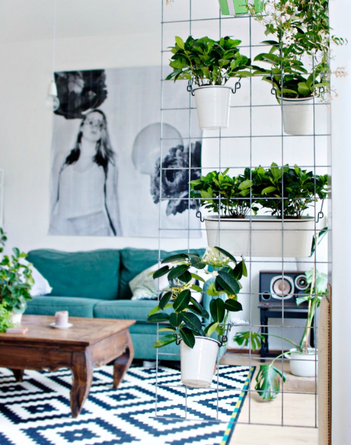 Diy jardin vertical para interior