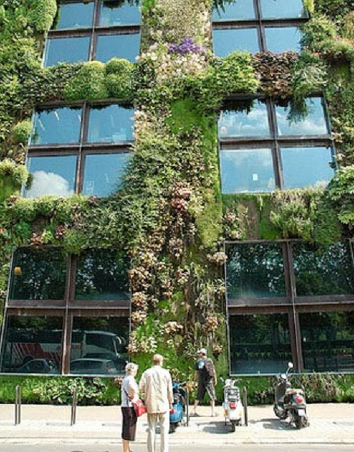 Enroque de ciencia: Primer jardín vertical hospitalario de Europa (1)
