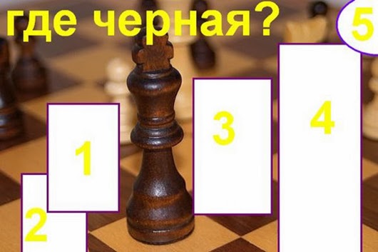 Тест на интуицию в картинках с ответами