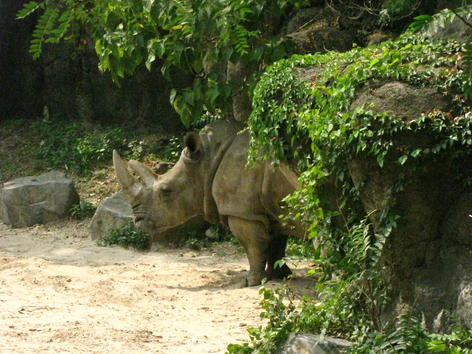 Henry Farkas Widower Blog The Maryland Zoo at Baltimore