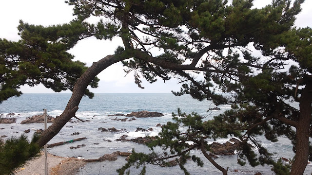 Велопоход вдоль Восточного (Японского) моря Южной Кореи Велопоход вдоль Восточного (Японского) моря Южной Кореи