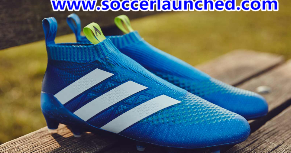 ace 16 purecontrol pogba