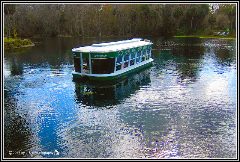 Ocala, Central Florida & Beyond Glass Bottom Boats at Silver Springs