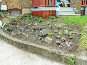 Forest Hill Toronto new rock garden after by Paul Jung Gardening Services Inc
