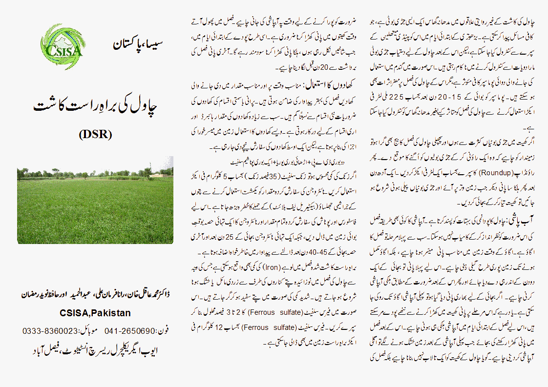 CSISA, PAKISTAN Direct Seeded Rice Pamphlet in Urdu