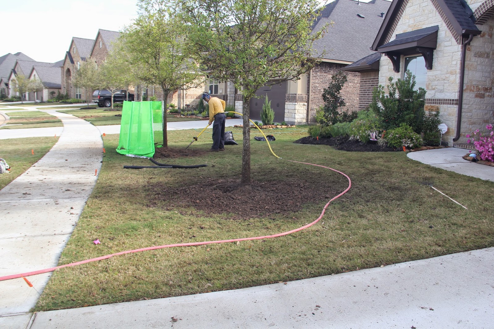 Golden Rule Soil Management Solutions Getting Rid of Volcano Mulch Mounds