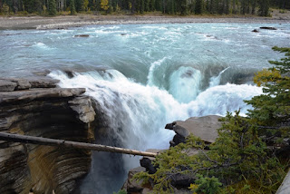 DSC_0356.JPG?width=300