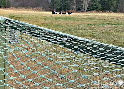 chicken run fencing garden netting coop poultry wire choosing right fresh