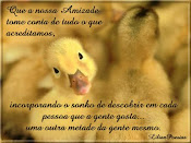 amizade